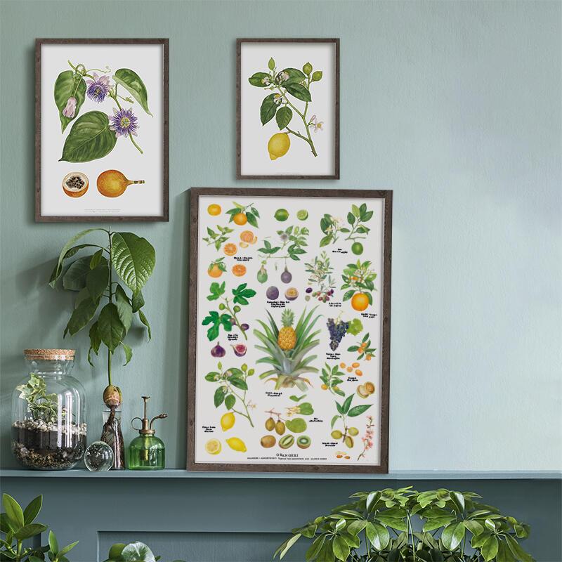 PRINT A4 Conservatory, A4 POSTERS, €6.57, POSTERS / POSTERS / A4